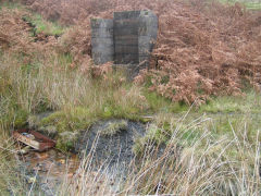 
Graig Wen Colliery, trackbed between levels, October 2009